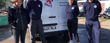 «Чотири лапи International» в Арцизі: про підсумки, враження та настанови місцевій владі