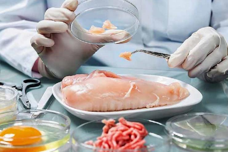 Мясо с сальмонеллой могут продавать в магазинах Одессы и области