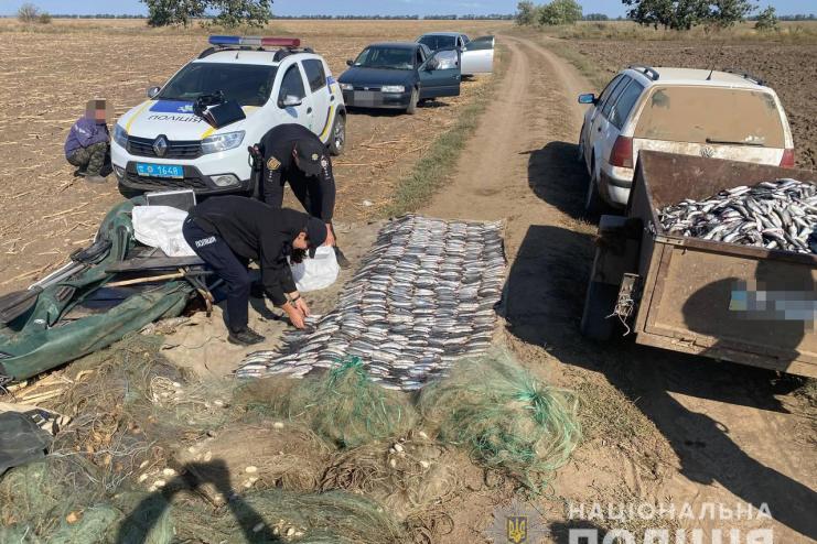 1.75 млн гривень збитків: у Білгород-Дністровському районі правоохоронці викрили браконьєрів з уловом кефалі