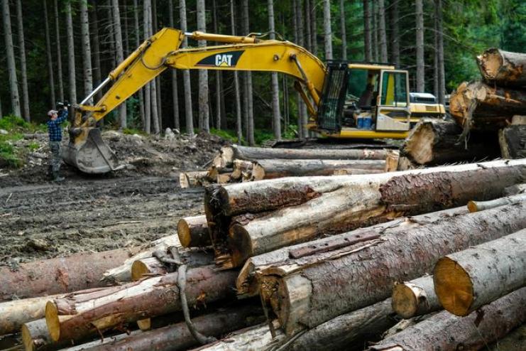 Украина пообещала Евросоюзу возобновить экспорт украинского леса
