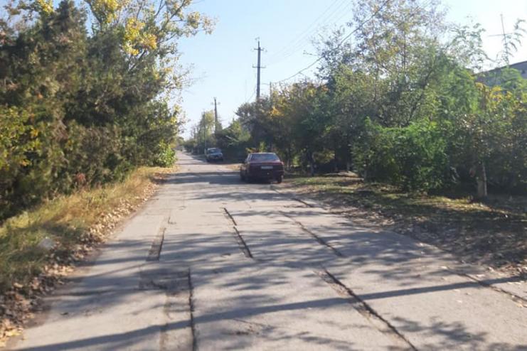 В Килии прохожие устроили самосуд автоледи, которая сбила беременную собаку (фото, видео18+)