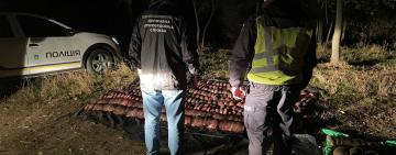 Браконьерство на миллион: полицейские Болградского ОП и пограничники Измаильского отряда не допустили вывоз рыбы из Украины