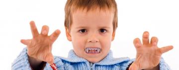 "Ребёнок бывает кусачий" или Почему дети кусаются? 