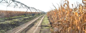 В Одеській області реконструюють і відновлять 12 об'єктів системи зрошення: список