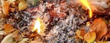 Арциз без диму: як КП "Благоустрій" бореться з опалим листям