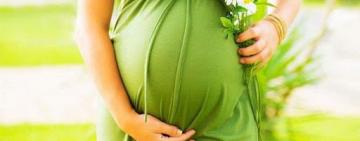 Допомогу для вагітних нараховуватимуть по-новому: хто може оформити декретні онлайн