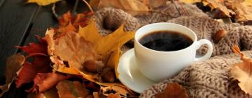 Последние плюс 13 градусов перед «холодрыгой»: прогноз погоды