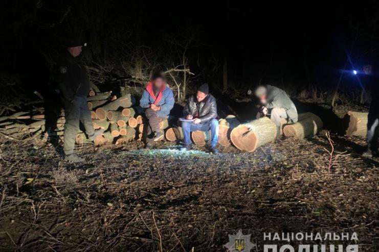 В Ізмаїльському районі поліцейські затримали "чорних лісорубів" (фото, відео)