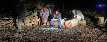 В Ізмаїльському районі поліцейські затримали "чорних лісорубів" (фото, відео)