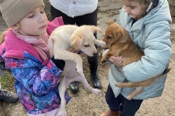 Одесские первоклассники передали приюту для бездомных животных почти 200 кг корма