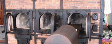 В Одесі побудують крематорий для тварин