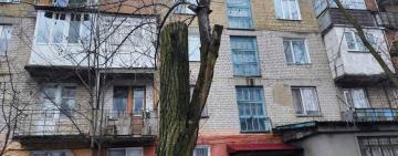 «Срубленная» власть