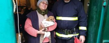 Порятунок цуценя Босі. Ранковий екшн від рятувальників Білгород-Дністровського району