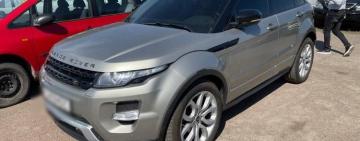 Продал элитный  