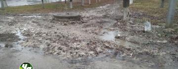 Звідки береться бруд у наших містах?