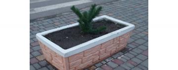 «Йолка» в Арцизе, или как превратить радость в гадость