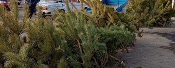 Сколько стоит новогодняя радость в Арцизе?