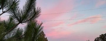 "Мені наснився Миколай"...