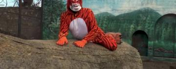 Оригінальне привітання: директор одеського зоопарку переодягся у тигра та бігав за жінками (відео)