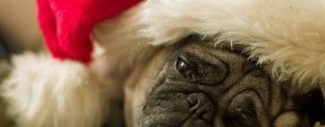 "Новогодняя оттепель": прогноз погоды на Новый год