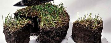 ВАЖЛИВА ІНФОРМАЦІЯ ЩОДО РОЗПОДІЛУ ЗЕМЛІ В САРАТСЬКІЙ ТЕРИТОРІАЛЬНІЙ ГРОМАДІ