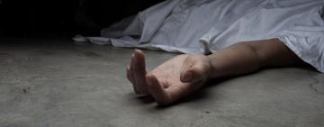 В Одесской области обнаружено тело женщины, искусанное животными