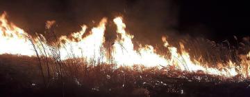 Горели поля фильтрации: одесские спасатели тушили масштабный пожар