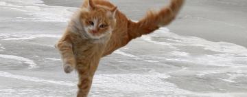 Ветер усиливается: объявлен II уровень опасности!