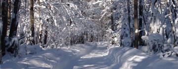 Гололедица, снег и ветер: в Одессе и области объявлено штормовое предупреждение