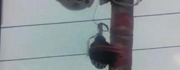 В Білгород - Дністровському помітили гранати на ліхтарних стовпах