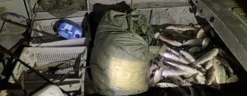 В Одесской области браконьер попался с двухсоткилограммовым уловом