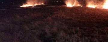 За сутки в Одесской области произошло 65 пожаров на экосистемах