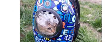 Дорога до Європи: лист українки, що виїхала за кордон