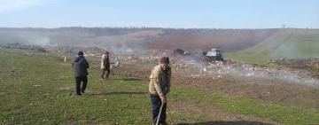 Весна - время "чистить перышки"