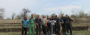 Бородинские рыболовы и временные переселенцы посадили ореховый бор около ставка
