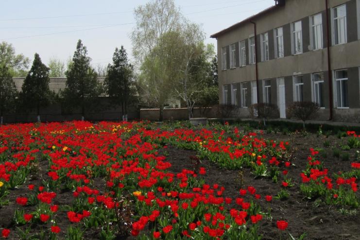 Бородинская школа всегда в цветах
