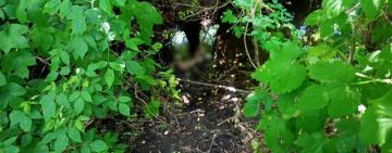 Народила і викинула в річку: на Одещині поліція викрила 28-річну жінку у вбивстві дитини