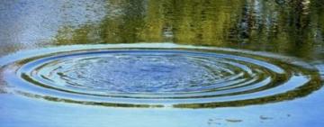 В Білгород-Дністровському районі на ставку було виявлено тіло потопельника