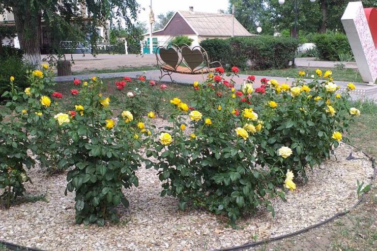 Красное хорошеет!