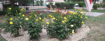 Красное хорошеет!