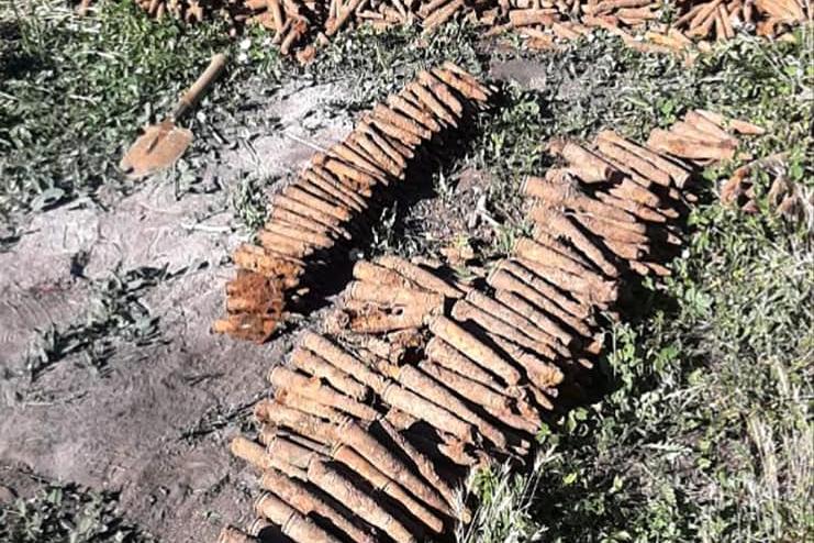 ДСНС розповіли подробиці небезпечної знахідки в колодязі в Болградському районі (фото)