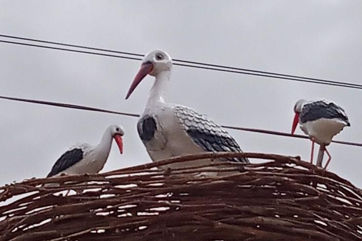 Нас ніколи не перемогти! В селі Кілійської громади з’явився живий символ України 