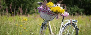 Гороскоп на липень-2022 для всіх знаків зодіаку