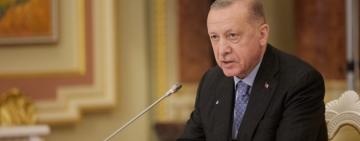 Для вивозу зерна з України вже готові 20 кораблів - Ердоган