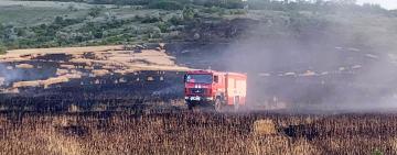  На Одещині пожежа знищила тюки з люцерною і поле з пшеницею