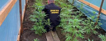 На Одещині поліцейські вилучили наркотики та психотропи на понад 10 мільйонів гривень