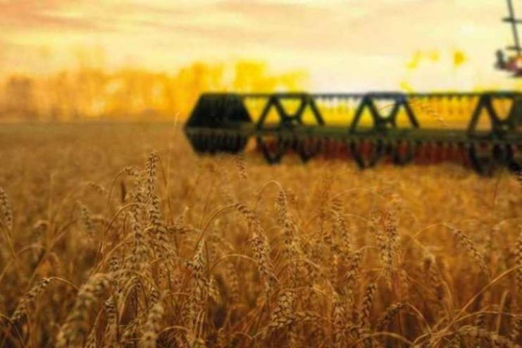 ПРО ХІД ЗБОРУ РАННІХ ЗЕРНОВИХ І ЗЕРНОБОБОВИХ КУЛЬТУР  У БОЛГРАДСЬКОМУ РАЙОНІ