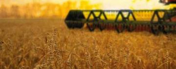 ПРО ХІД ЗБОРУ РАННІХ ЗЕРНОВИХ І ЗЕРНОБОБОВИХ КУЛЬТУР  У БОЛГРАДСЬКОМУ РАЙОНІ