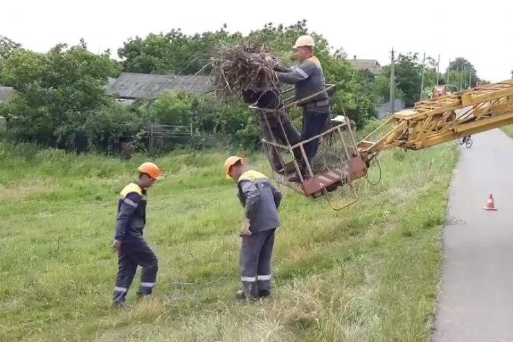 На Одещині енергетики допомогли відновити зруйноване гніздо для лелек