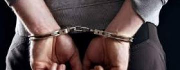 Поліцейські викрили в крадіжках сімох жителів Одещини, серед них - неповнолітній з Арцизської громади